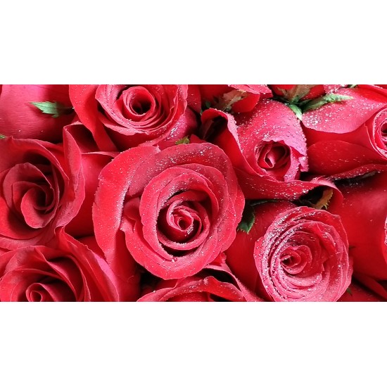 Half Dozen Red Roses Bouquet 